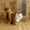 C, variant on Lifelike Cat Toy Realistic Animal Stuffed Model Soft Cuddly Friend for Kids and Children as Idea
