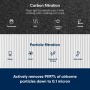 Blueair Air Purifier Replacement Filter, Blue Pure 211+ Particle and Carbon, Compatible with Blue Pure 211+ Air Purifier (Non-Auto)