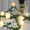 LittLe Star, variant on HAOSHICS Artificial Rose Vine Green Leaf Light String, Christmas Decoration Lights, Indoor and Outdoor Light Strings, Bedroom Wall Decoration Lights