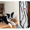 thumbnail image 3 of DOOG - 'Clip It' Neoprene Dog Leash BOLT (Neon) - Extra Large, 3 of 4
