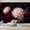 Color 4, variant on Wallpaper Vintage Sepia Floral Elegant Peony Rose Summer Decor Peel and Stick Wall Murals 100"H x 144"W Removable PVC Wall Paper Self-Adhesive Wall Paintings Art Decor for Bedroom Living Room