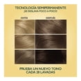 thumbnail image 4 of Tinte para cabello Soft Color Semipermanente 61 cedro oscuro, 4 of 4
