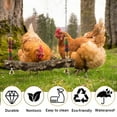 thumbnail image 6 of 2 Pack Chicken Bird Swing,Natural Wooden Swing Toys,Wood Stand for Chick,Safe Chicken Coop Accessories for Bird,Parrot, 6 of 7