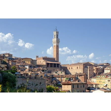 Italy Tuscany Siena - The Old Town Canvas Art - Panoramic Images (36 x