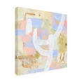 thumbnail image 2 of Melissa Wang 'Champagne Blush IV' Canvas Art, 2 of 4