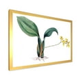 thumbnail image 2 of Designart 'Ancient Plant Life VI' Traditional Framed Art Print, 2 of 4