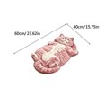 thumbnail image 3 of Lovely Pink Tabby Cat Rug Soft Pashmina Napping Kitty Pad For Girls Room Dresser Vanity Sweet Pet Decor Gift Idea For Kids And Teens Birthday Surprise (40x60cm), 3 of 8