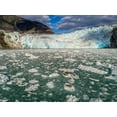 thumbnail image 2 of Souders, Paul 18x15 White Modern Wood Framed Museum Art Print Titled - Alaska-Tracy Arm Harbor Seals hauled out on icebergs calved from Dawes Glacier in Endicott Arm, 2 of 4