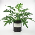 thumbnail image 2 of Artificial En , Faux Plástico Falso Meleuca Bonsai Interior Exterior Hogar Jardín Oficina Boda Decoración Para El Hogar -13cm / 5.12 '' - B Sunnimix Hojas artificiales de simulación, 2 of 8