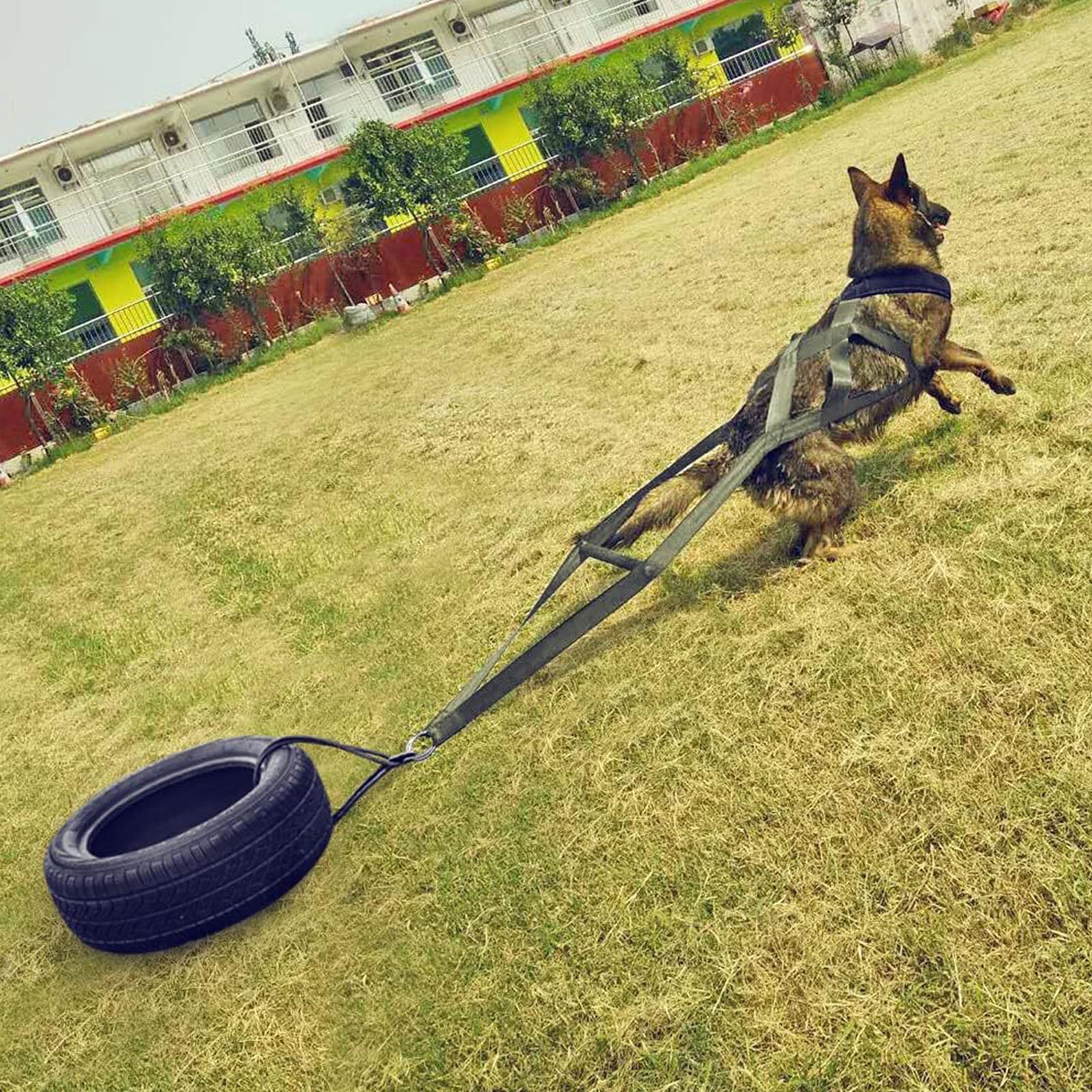 Dog Harness Comfortable Dog Vest Harness for Large Dogs Sled Training Weight Pulling Supplies