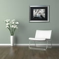 thumbnail image 3 of Trademark Fine Art "White Calm" Canvas Art by Philippe Hugonnard, Black Matte, Silver Frame, 3 of 4