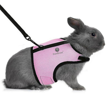 Rabbit Harness & Leash - for Running, Walking, Jogging Hands-Free - Allows Bunny to Hop Unrestricted - Stylish Accessory - Soft, Breathable mesh Nylon Fabric - Adjustable with Touch Fasteners Trixie (Best Rabbit Harness And Leash)