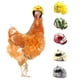thumbnail image 1 of Casco de pollo Casco de seguridad para mascotas Casco de loro divertido Sombrero de pájaro de pollo Gorros Sombrero duro para mascotas pequeñas -b Aespa. Afortunado Sencillez, 1 of 4