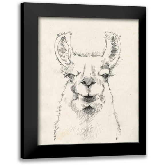 Goldberger, Jennifer 12x14 Black Modern Framed Museum Art Print Titled - Llama Portrait II