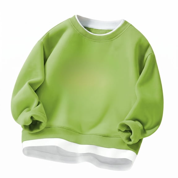 Toddler Boys Girls Crewneck Sweatshirt - Thick Lined Pullover, Soft Warm Casual Top for Fall and Winter Everyday Wear