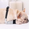 thumbnail image 3 of LAICAIW Dog Recovery Front Legs Sleeve Soft Padded Dog Elbow Brace Pet Leg Wounds Protector Dog Short Pants for Small Medium Dogs (M), 3 of 7