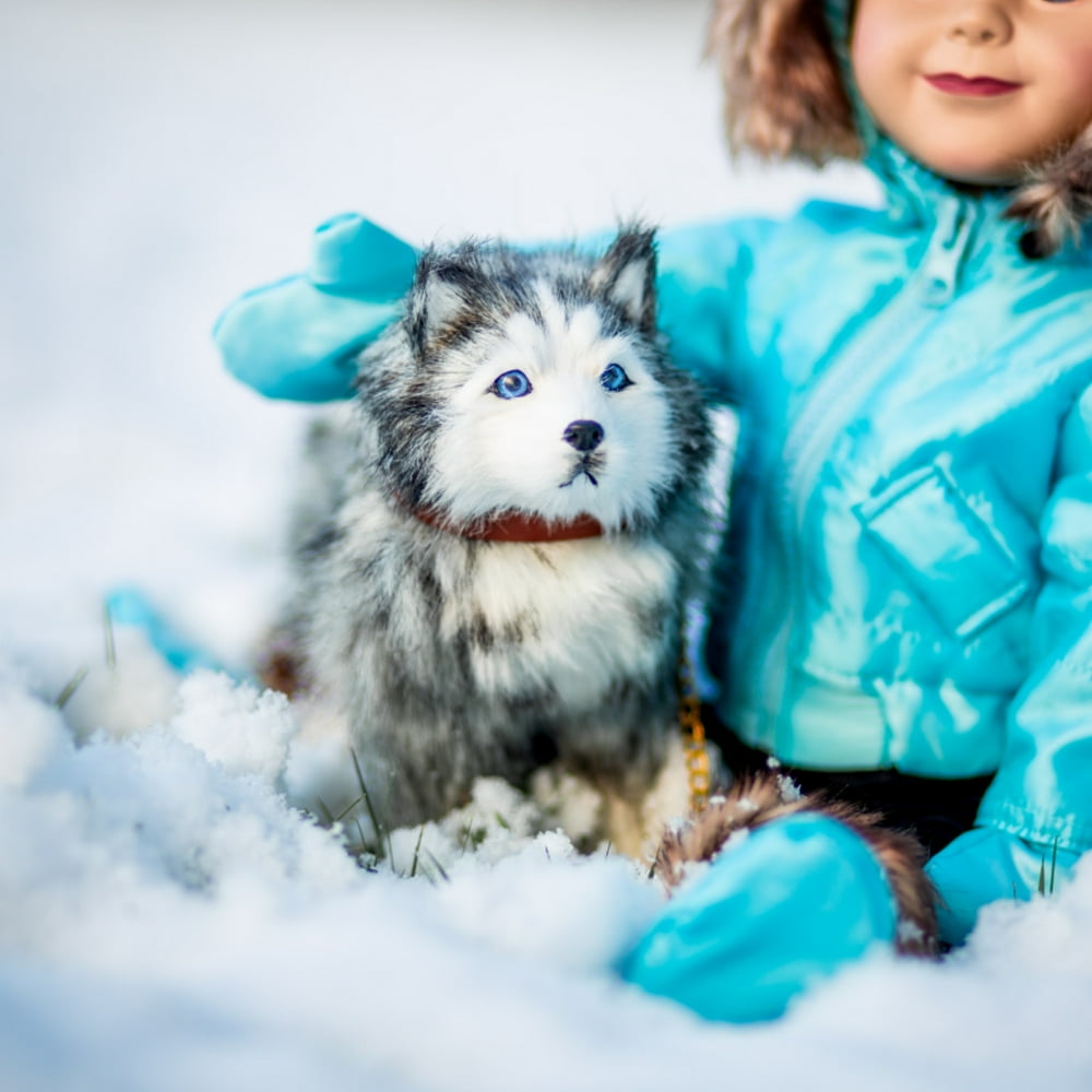 The Queen's Treasures 18 Inch Doll Pet Accessory, Husky Puppy Dog With