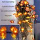 thumbnail image 4 of guirlande D'automne, Dcoration D'automne, Guirlande 30 Lumineuses, Guirlande De Feuilles D'automne, Dcoration Nol Halloween, Dcoration Thanksgivin, 4 of 5