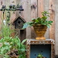 thumbnail image 5 of Birch Wood Decorative Bird House, 5 of 9