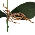 thumbnail image 4 of RotHome Real Touch Artificial Orchid Flowers Phalaenopsis Stem Bouquets, Faux Silk Floral Decor for Wedding Party and Outdoor Garden Arrangement, 1 Pack, 4 of 4