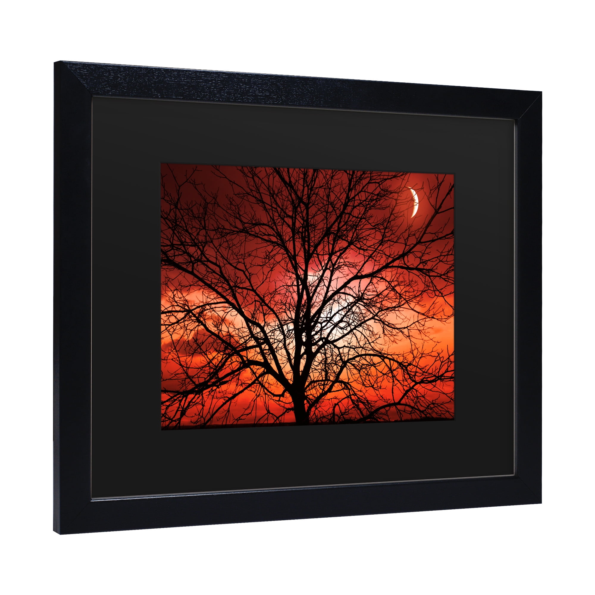 Trademark Fine Art 'Big Bad Moon' Canvas Art by Philippe Sainte-Laudy