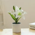 thumbnail image 1 of Baohd Simulated Flowers Decorative Home Potted Freshness With Ornaments type+2, 1 of 6