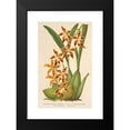 thumbnail image 2 of Charles Antoine Lemaire 11x14 Black Modern Framed Museum Art Print Titled - Odontoglossum Odoratum Var. Latima-Culatum (1854-1896), 2 of 5