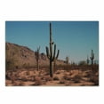 thumbnail image 1 of Saguaro Cutting Board, Grown Prominent Cacti with the Spines Hardy Plants Clear Sky Landscape Picture, Decorative Tempered Glass Cutting and Serving Board, Small Size, Brown Blue, by Ambesonne, 1 of 1