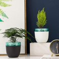 thumbnail image 3 of Maceta perezosa con absorción automática de agua para jardín, patio, césped, plantas y flores, 3 of 5