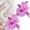 Pink*2, variant on 2026 Upgraded Rotating Cat Eye Magnet, 360° Rotating 3 in 1 Beginner Friendly Nail Tool, Contains multiple magnets, Beginner Friendly for DIY Glossy Cat Eye Effects Set (Pink)