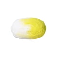 thumbnail image 2 of WEGFTDUOP Simulation Cabbage Figurine, Realistic Vegetable Decor For Home And Tabletop, 2 of 4