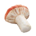 thumbnail image 1 of Creative Vivid 3D Mushroom Pillow Gift Plush Throw Pillow 7.8" (Tamaño pequeño) brillar Hogar, 1 of 5
