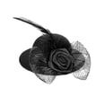 thumbnail image 1 of LINMOUA Chicken Hats For Hen Small Funny Chicken Accessories Feather Top Hat, 1 of 1