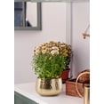 thumbnail image 4 of Serene Spaces Living 4.5" Gold Metal Bowl Vase, 4 of 6