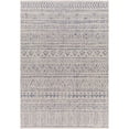 thumbnail image 2 of Taryn Oatmeal 4'3" x 5'11" Global Indoor/Outdoor Rectangle Area Rug, 2 of 5