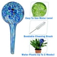 thumbnail image 2 of Aqua Plant Watering Globes - Automatic Self Watering Plant Glass Ball Bulbs - Indoor Outdoor Use - Perfect Potted Flowers, Houseplants, Herbs - Or While Out On Vacation -16pc Small, 2 of 9