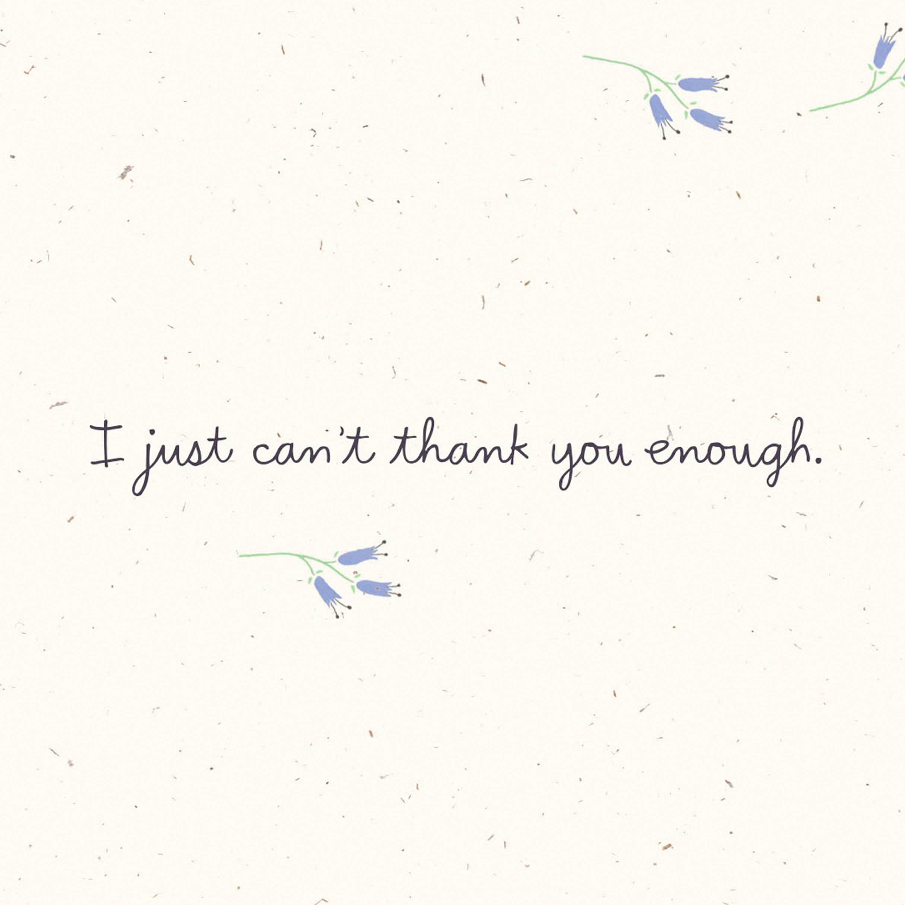 Hallmark Just Because Thank You Card (Bicycle and Flowers)