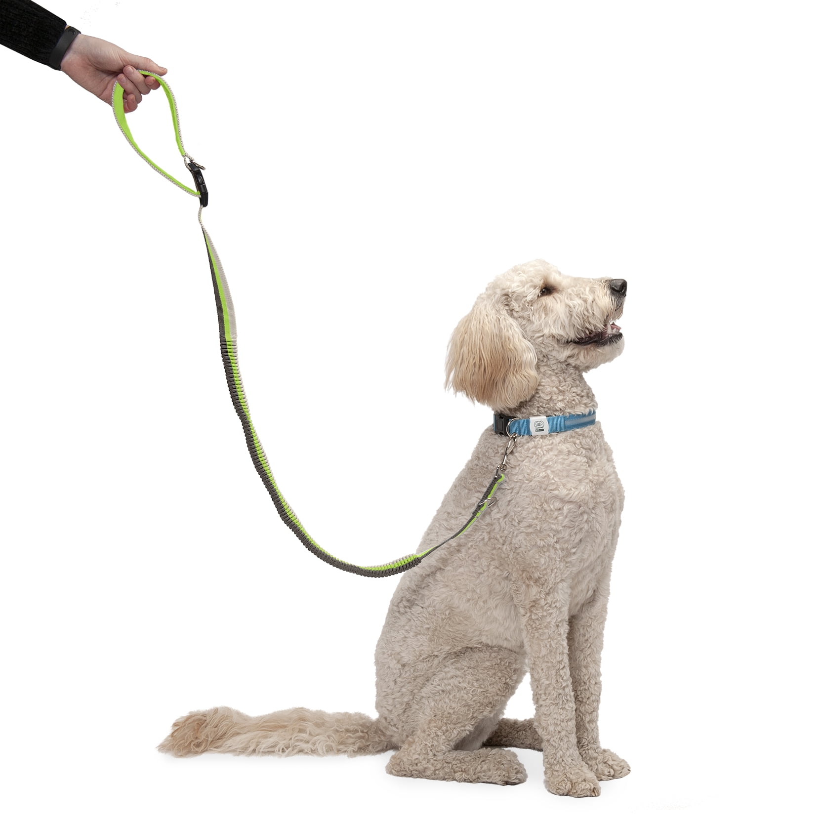 FurHaven Pet Leash EasyTether Reflective Bungee Dog Leash, Volt