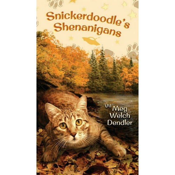 Cats in the Mirror Snickerdoodle's Shenanigans, Book 6, (Hardcover)