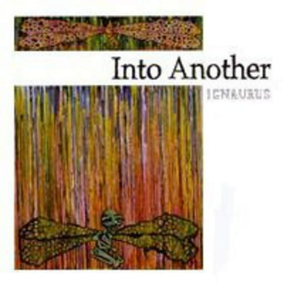 Into Another - Ignaurus - Music & Performance - Vinyl