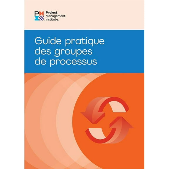 Process Groups: A Practice Guide (French), (Paperback)