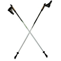 LEKI Nordic Walking Flash Carbon White/Black/Green 110cm