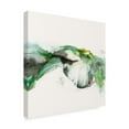 thumbnail image 2 of Trademark Fine Art 'UA CH Green Terrain I' Canvas Art by Sisa Jasper, 2 of 4