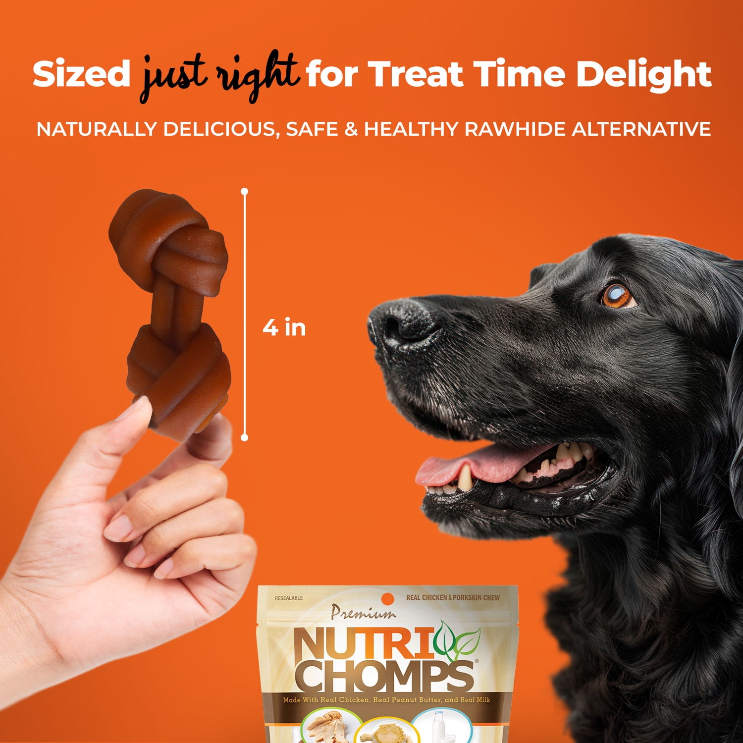 Nutri Chomps Rawhide-Free Knotted Dog Chews, 4-Inch, Chicken, Peanut Butter & Milk Flavor, 9 Count