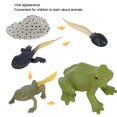 thumbnail image 4 of Education Statue Toy Durable Animal Model Children Toy Animal Early Animal Statue For Educational Purposes, 4 of 8