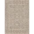 thumbnail image 4 of BERTHMEER 6'×9' Area Rugs for Living Room Bedroom Dining Room Office Oriental Floral Vintage Farmhouse Machine Washable Non-slip Traditional Distressed Carpets, Brown, 4 of 6