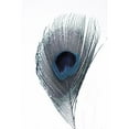 thumbnail image 3 of Phillip, Jamie 11x14 Black Modern Framed Museum Art Print Titled - Feather, 3 of 5