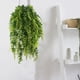thumbnail image 1 of 2 uds helecho caído artificial 90cm planta colgante plástico hiedra artificial hoja verde guirnalda colgante enredadera falso helecho de Boston para pared hogar cesta colgante decoración ZefeiWu 8390605596384, 1 of 1