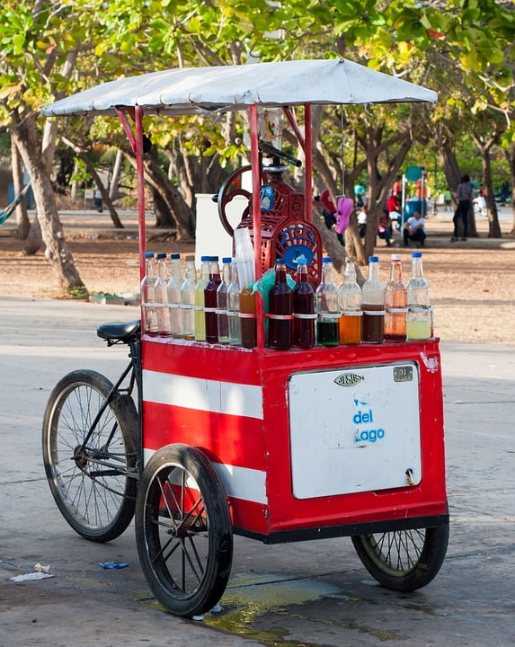 ice cream bike business