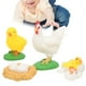 thumbnail image 5 of Modelo de ciclo de vida Animal que no se desvanece modelo Animal seguro para niños bebés vívidos ampliar el conocimiento del aprendizaje niños niños ANGGREK Otros, 5 of 8